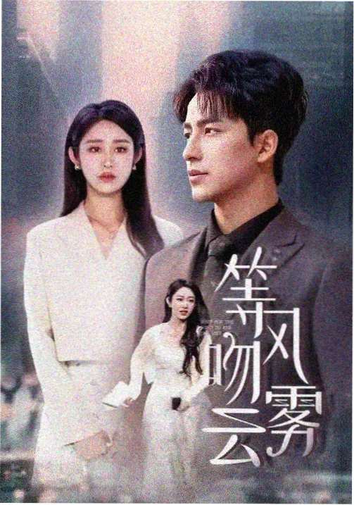 审讯室24小时 免费看电视剧网站